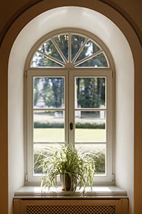 Eine Pflanze steht auf der Fensterbank eines Rundbogenfensters. Das Sonnenlicht fällt durch das Fenster mit Sprossen mit Blick auf einen grünen Rasen und hohe Bäume.